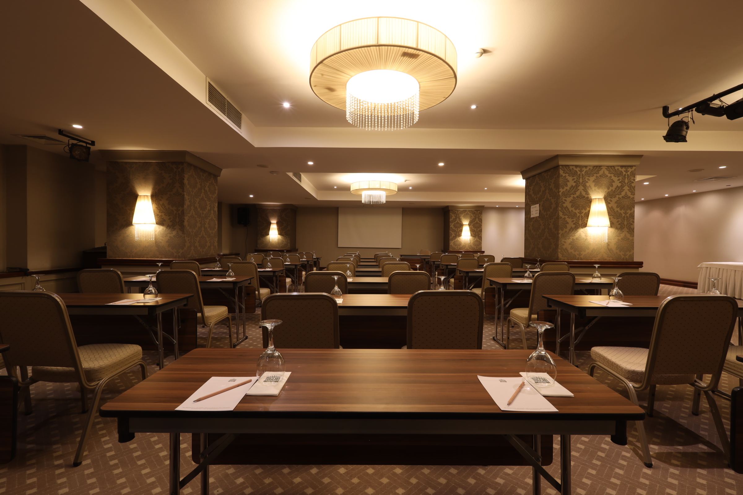 Tigris 3 Seminar Hall - Room Image