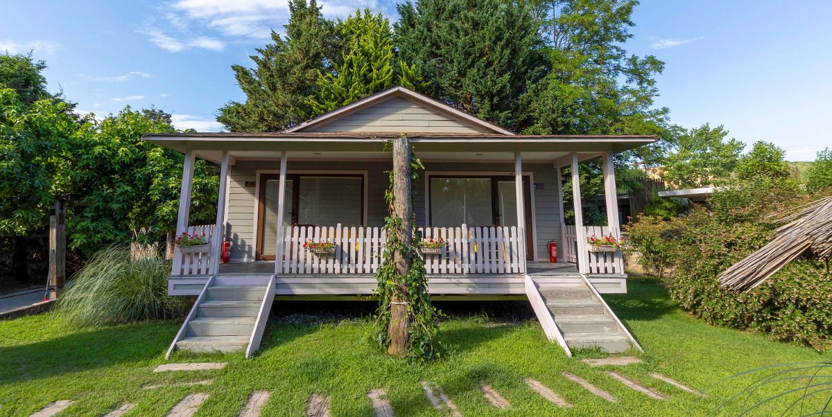 Dingo Hall - Galeri Görseli