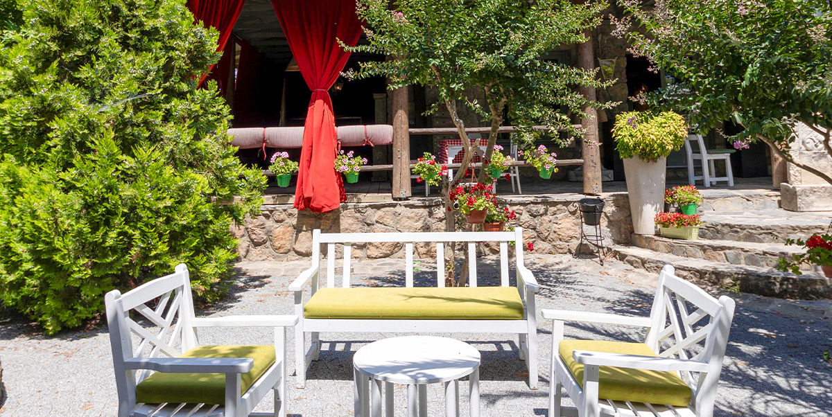 Dingo Hall - Galeri Görseli