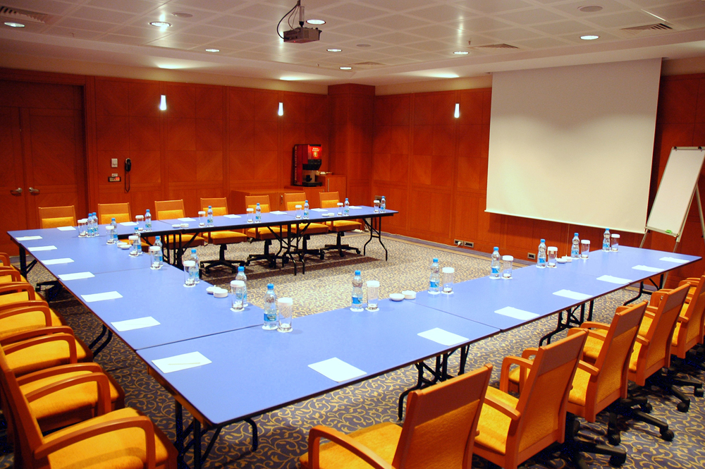 Manolya I-II Toplantı Salonu - Oda Görseli