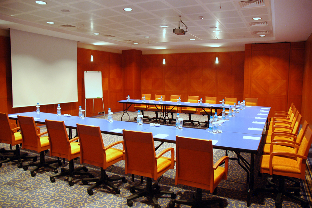 Manolya Toplantı Salonu - Oda Görseli