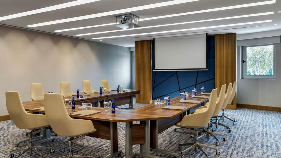 Capri Toplantı Salonu - Oda Görseli