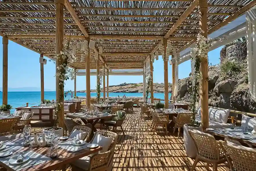 Folie - Galeri Görseli