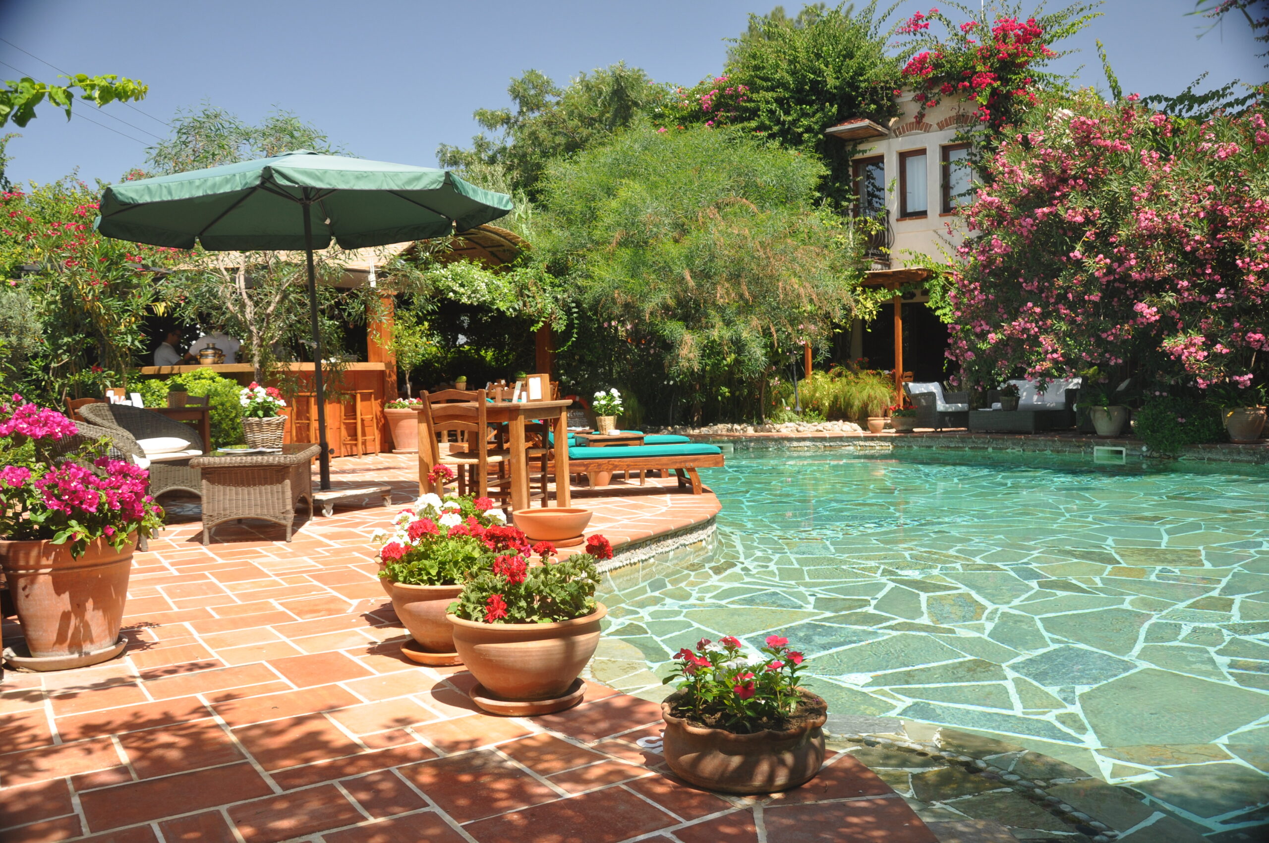 Outdoor Restaurant - Room Image