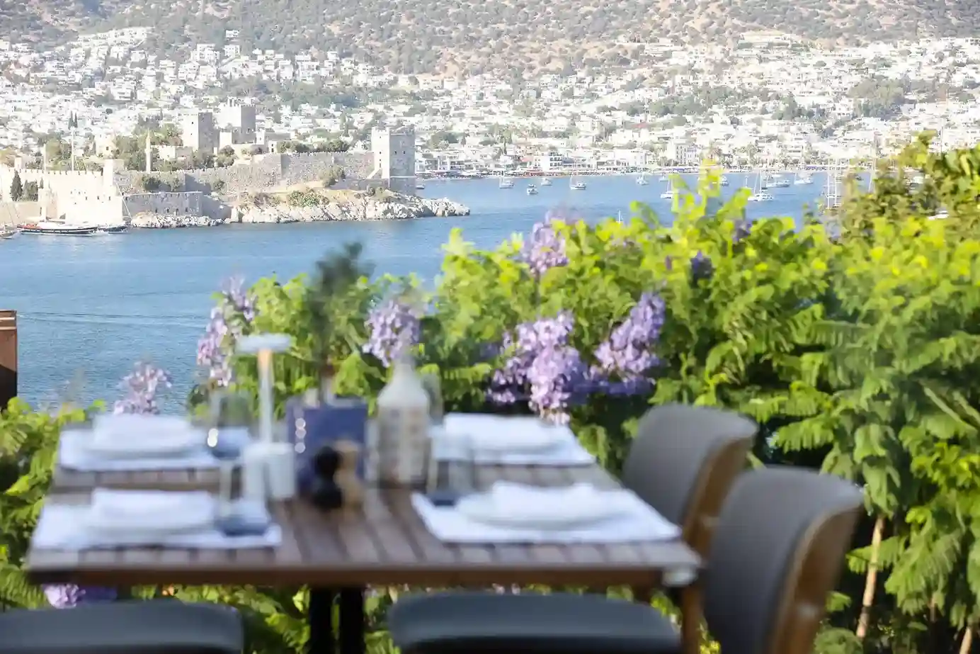 Isola - Galeri Görseli