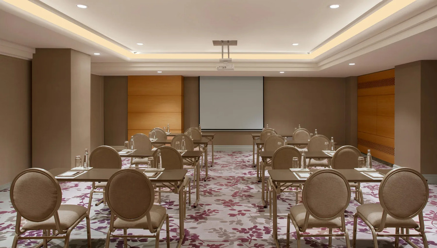Sumi Toplantı Salonu - Oda Görseli