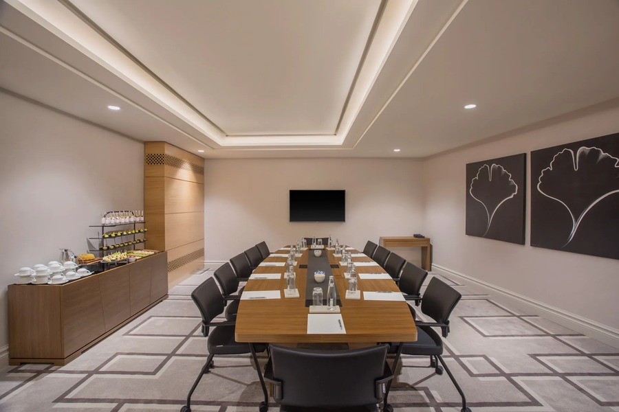 Tolina Toplantı Odası - Oda Görseli