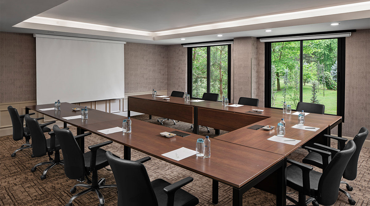 Cinar Meeting Room - Room Image