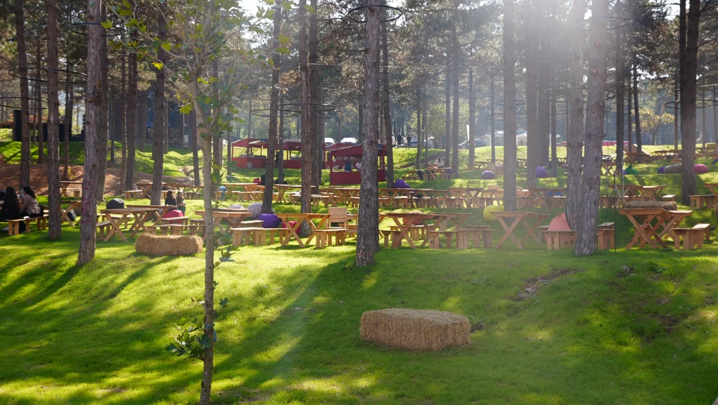 Nefes Koru - Galeri Görseli