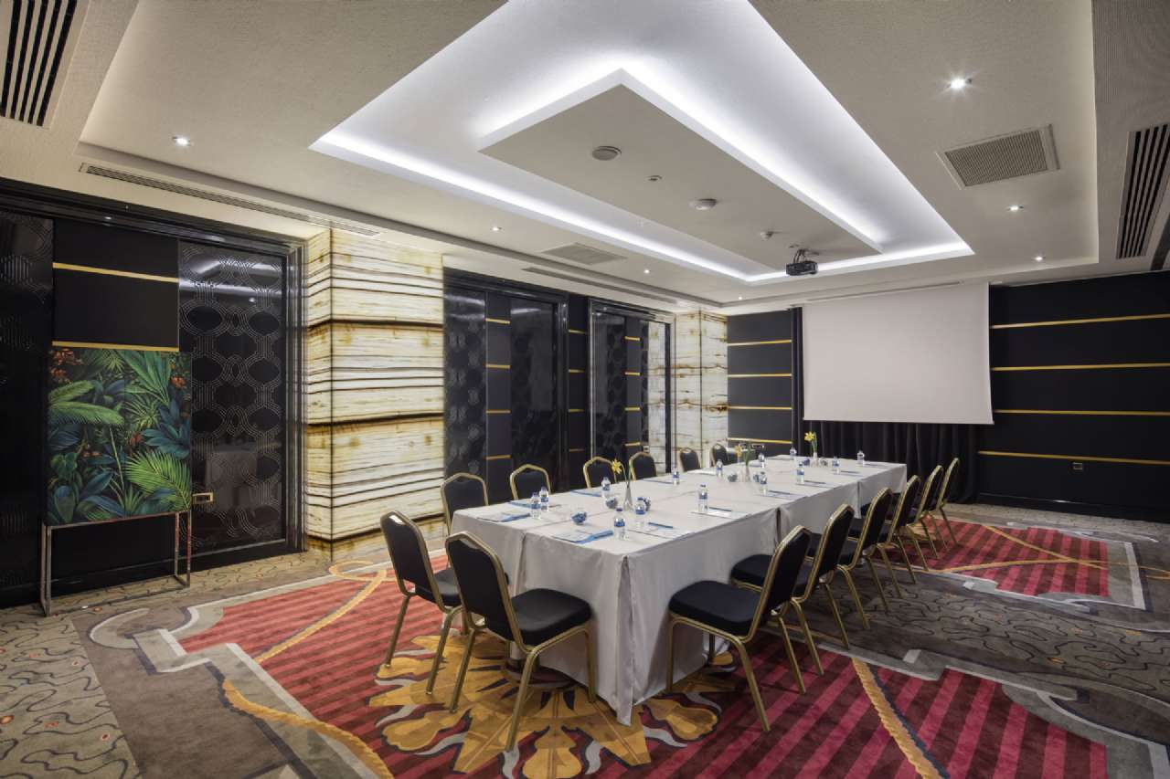 Neptün 1 Toplantı Salonu - Oda Görseli