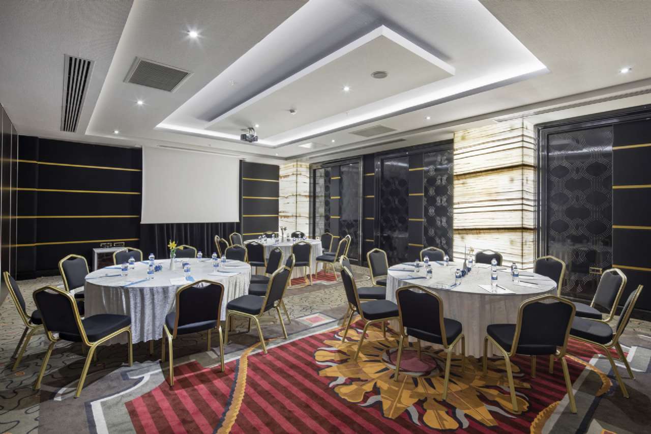 Neptün 3 Toplantı Salonu - Oda Görseli